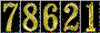 Hit Counter
