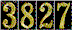 Hit Counter