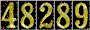 Hit Counter