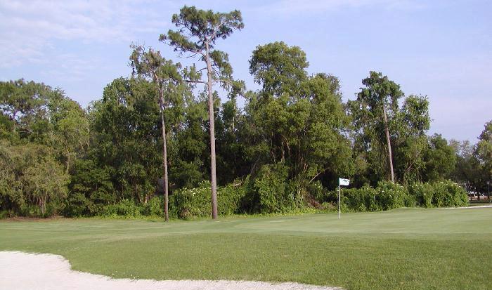 Wekiva Golf Club Golf Hole an Orlando Golf Course