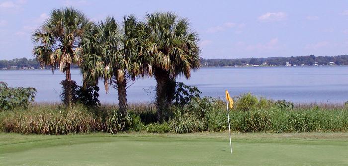 golf Baby laughing at the Wii