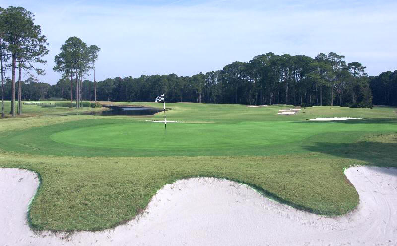 Jekyll Island Golf, a natural wonder