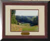 costcoframe800.jpg (104420 bytes)