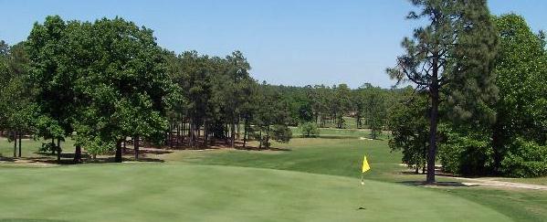 fayettville-golf1.jpg
