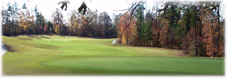 Raleigh Golf with Durham and Chapell Hill