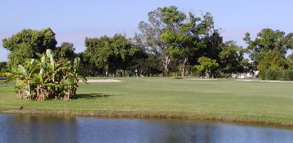 Tampa Bay Golf Hole