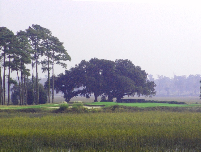 Savannah-golf course