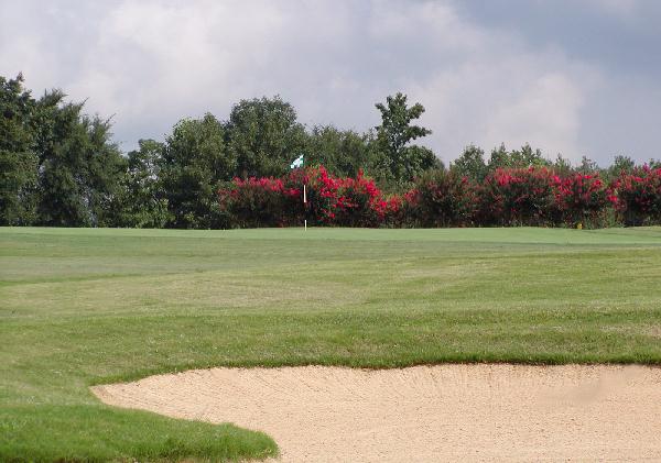 Emerald Lake Golf Club Hole