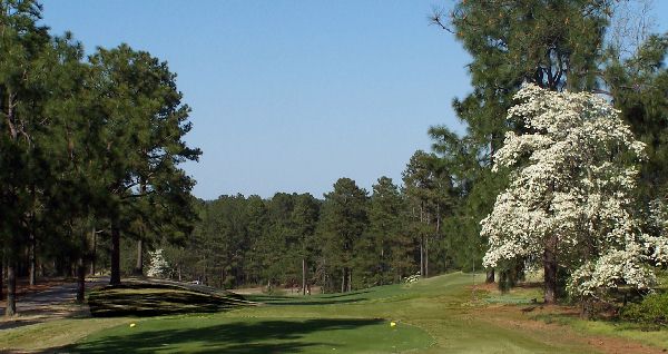 Foxfire Golf Resort in Green in Pinehurst Golf Area