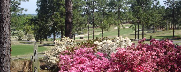 Hyland Hills Golf Hole