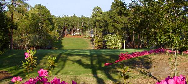 The Club at Longleaf Photo of Hole 12 in The Village of Pinehurst, NC