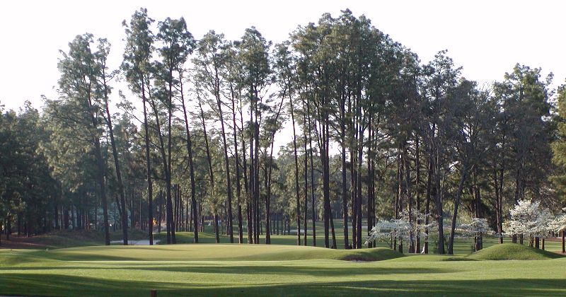 US Open Golf Tournament at Pinehurst #2, NC - 16th golf hole