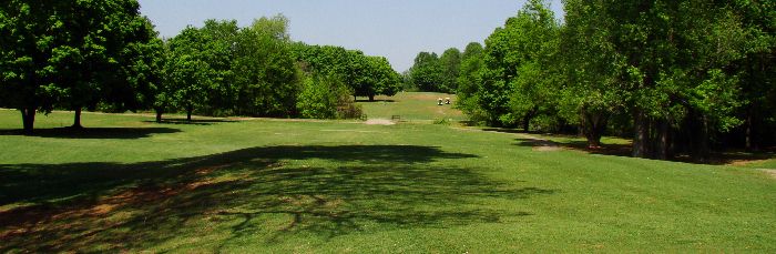 Charlotte Golf - Revolution Park Golf Club - 8th Hole