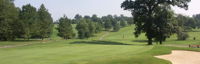 Reynolds Park Golf Hole Green View
