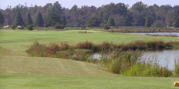 Woodlake Palmer Course Hole 1 Tee Shot