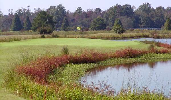 Woodlake Palmer Course Hole 1 Green View