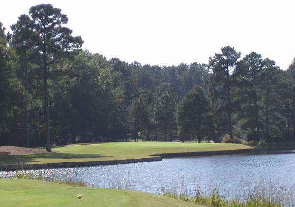 Woodlake Palmer Course Hole 2 Tee Shot