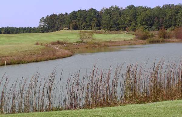 Woodlake Palmer Course Hole 10 Green View