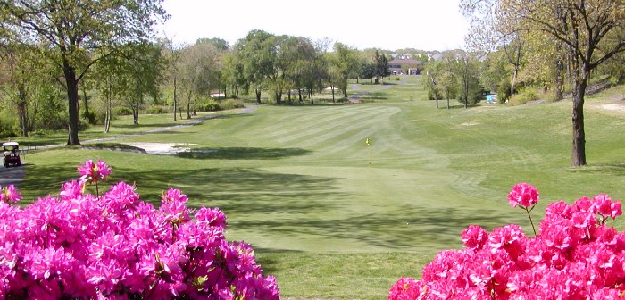 Valleybrook Golf Club's 4th Hole - Looking Back