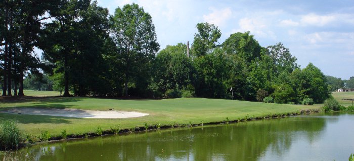 Berkeley Country Club Golf Hole #8 in the Charleston Golf Area