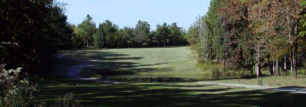 Chester Golf Course hole 7 Tee Shot