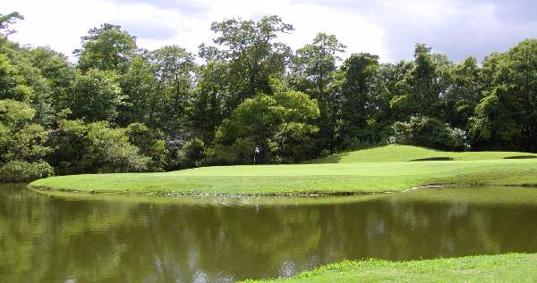 Crowfield Golf Club near Charleston, SC - Hole 6