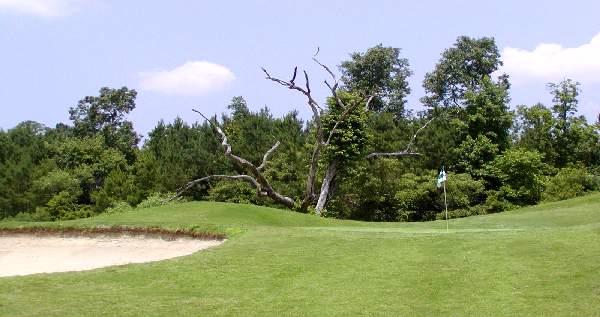 Crowfield Golf hole 7 near Charleston SC