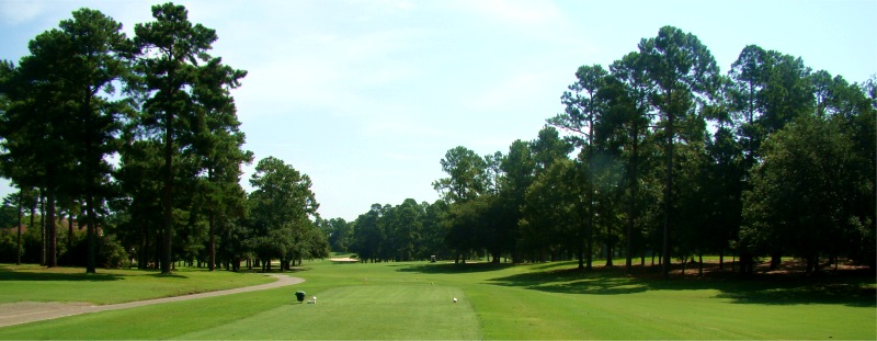 Name Golf Course Hole 1 - Tee Shot