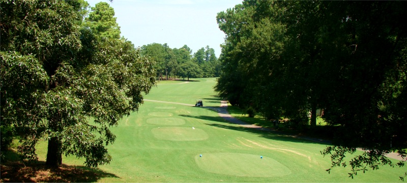 Name Golf Course Hole 1 - Tee Shot