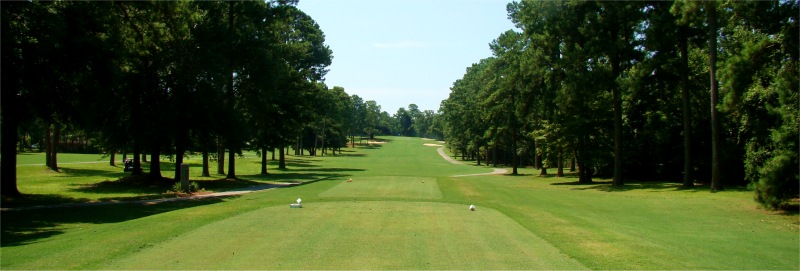 Name Golf Course Hole 1 - Tee Shot