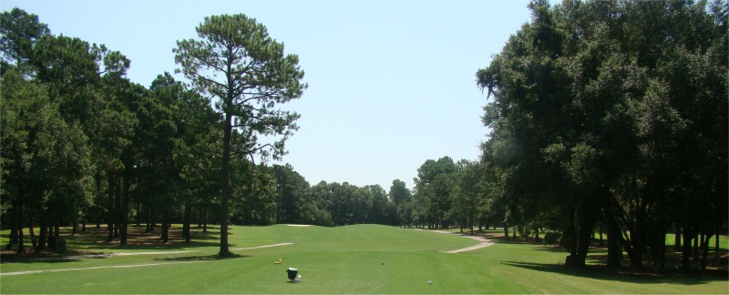 Name Golf Course Hole 1 - Tee Shot