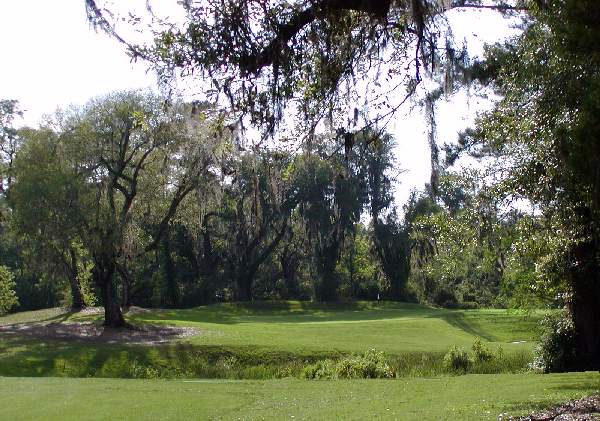 Legend Oaks Golf Course Hole 10 in Charleston Area