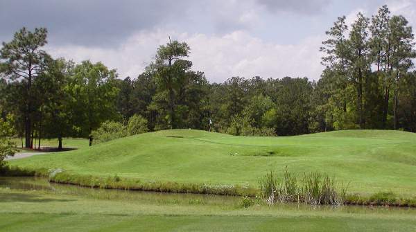 Charleston Golf Course Hole at Pine Forest