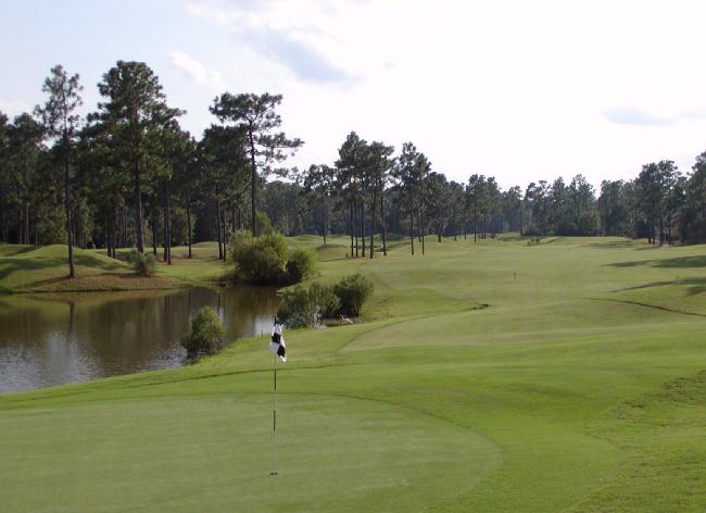 Pine Forest Golf Club - Par 4 Hole 2