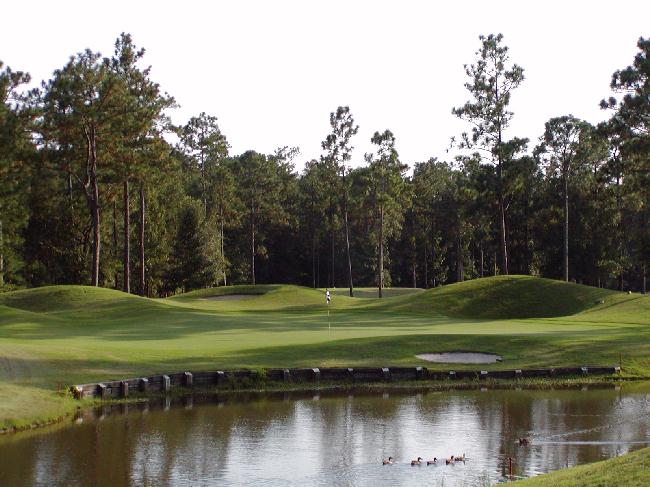 Pine Forest Golf Club - Par 3 Hole 8
