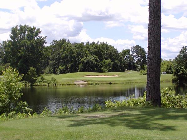 hole17a.jpg (18195 bytes)