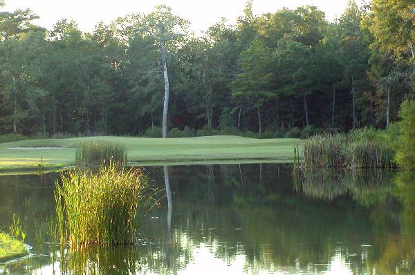 Wescott Golf Hole 2 Burn Kill a Charleston Golf Course